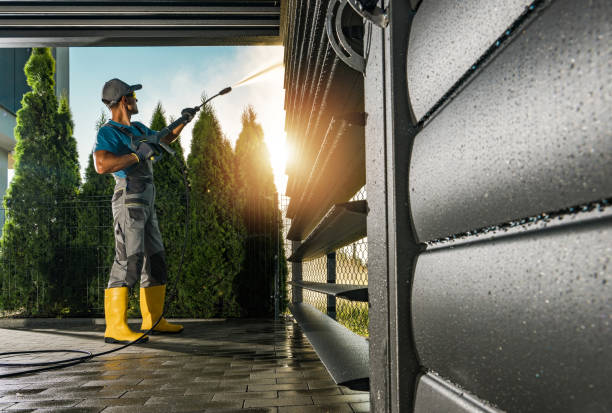 Best Roof Cleaning and Mildew Removal in Grandview, TX